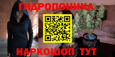 шишки Ливны