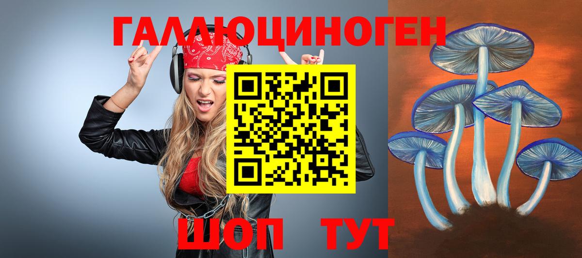 Галлюциногенные грибы Psilocybe  Вход с VPN  Галлюциногенные грибы Psilocybine cubensis  Усть-Илимск 
